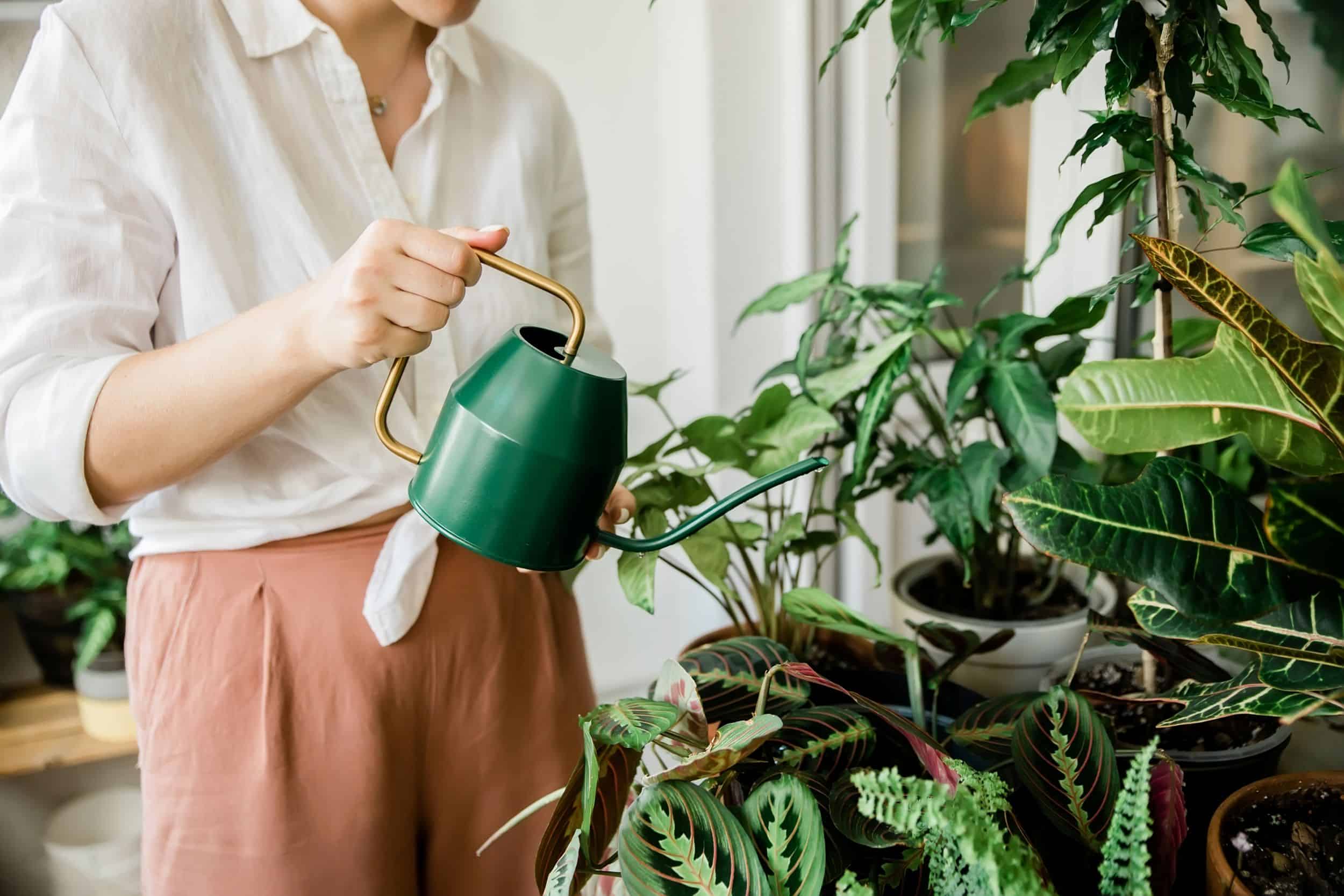 woman watering plants